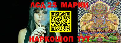 стафф Краснокаменск