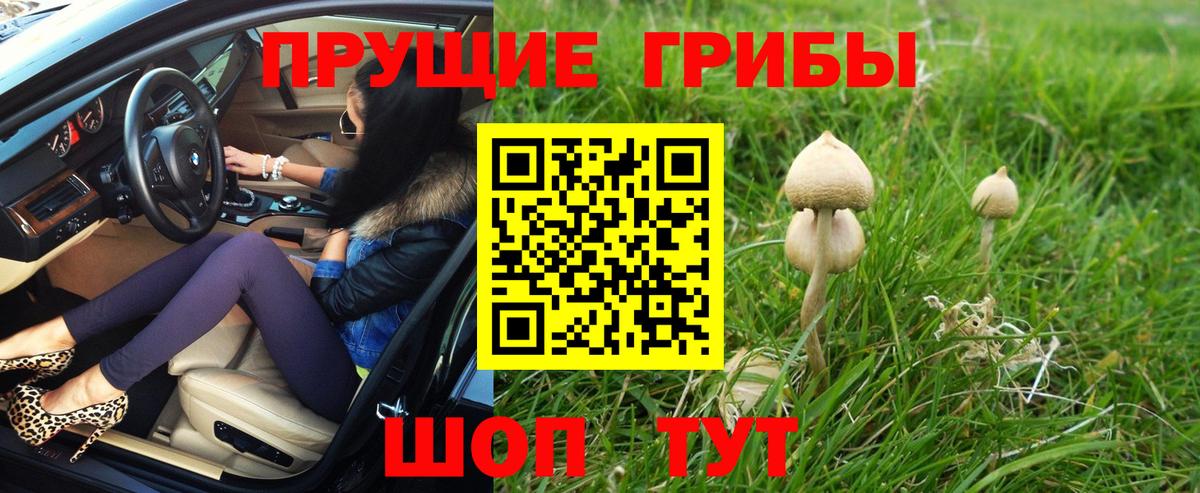 Каменск-Шахтинский  Галлюциногенные грибы прущие грибы  Псилоцибиновые грибы Cubensis  Вход с VPN 